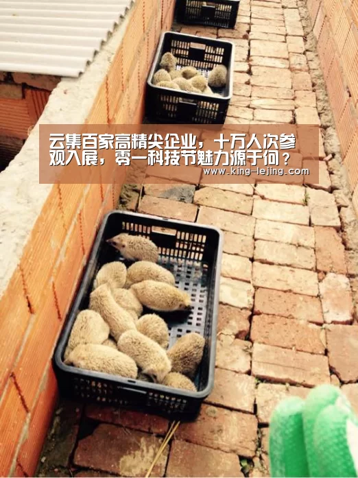云集百家高精尖企业,十万人次参观入展,零一科技节魅力源于何?“乐竟体育官方”(图3) 乐竟体育